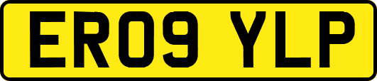 ER09YLP