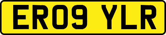 ER09YLR