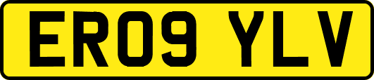 ER09YLV
