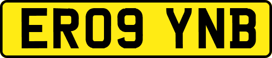 ER09YNB