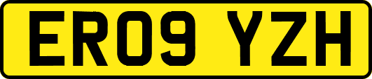 ER09YZH