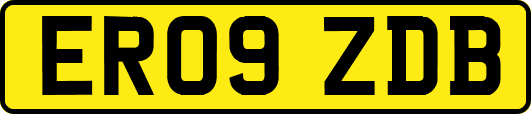 ER09ZDB