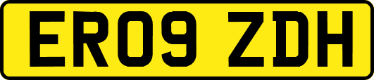 ER09ZDH