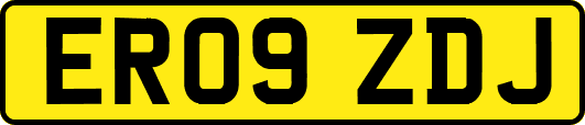ER09ZDJ