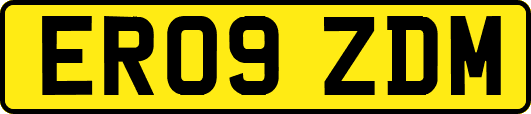ER09ZDM