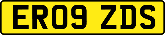 ER09ZDS