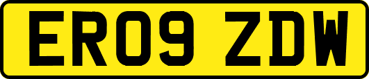 ER09ZDW