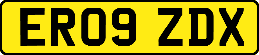ER09ZDX