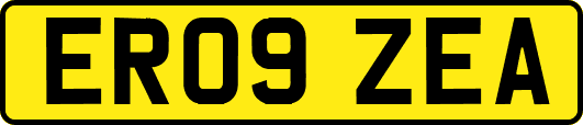 ER09ZEA