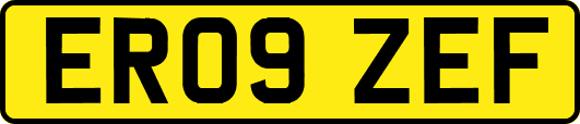 ER09ZEF