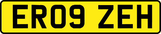 ER09ZEH
