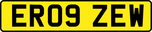 ER09ZEW