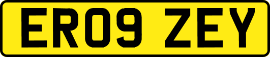 ER09ZEY