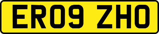 ER09ZHO