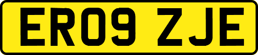 ER09ZJE