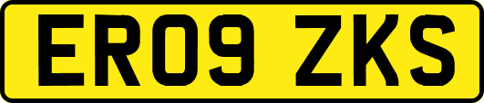 ER09ZKS