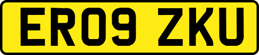 ER09ZKU