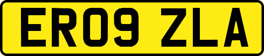ER09ZLA
