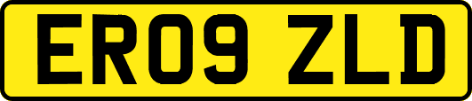 ER09ZLD