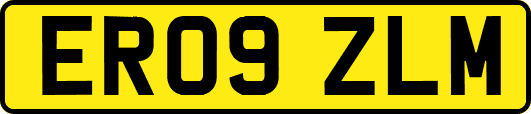 ER09ZLM