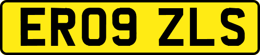 ER09ZLS