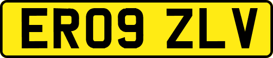 ER09ZLV