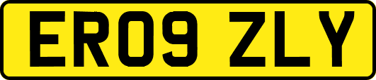 ER09ZLY
