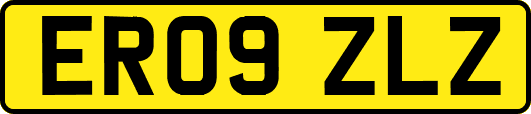 ER09ZLZ
