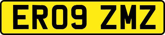 ER09ZMZ