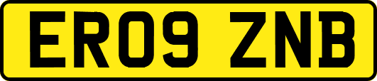 ER09ZNB