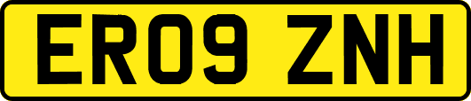 ER09ZNH