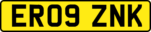 ER09ZNK