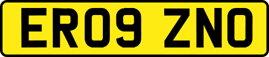 ER09ZNO