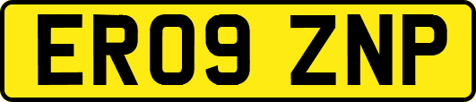 ER09ZNP