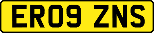 ER09ZNS