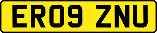 ER09ZNU