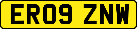 ER09ZNW