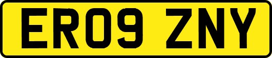ER09ZNY