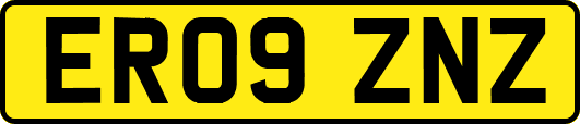 ER09ZNZ