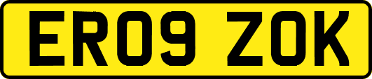 ER09ZOK