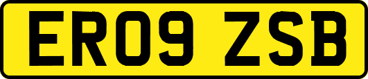 ER09ZSB