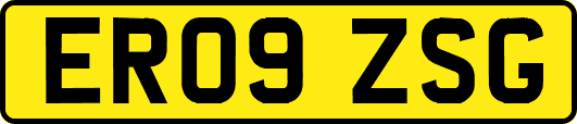 ER09ZSG