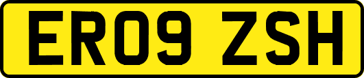 ER09ZSH