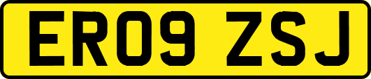 ER09ZSJ