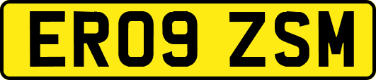 ER09ZSM