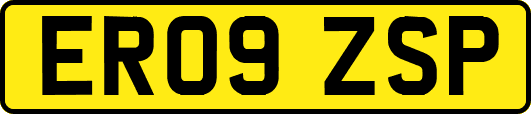 ER09ZSP