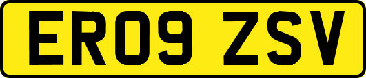 ER09ZSV