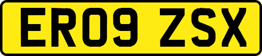 ER09ZSX