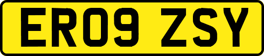 ER09ZSY