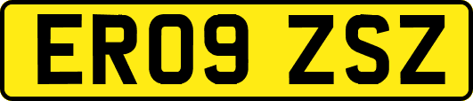 ER09ZSZ
